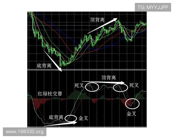 全面解析黄金战神指标：实战应用与操作技巧